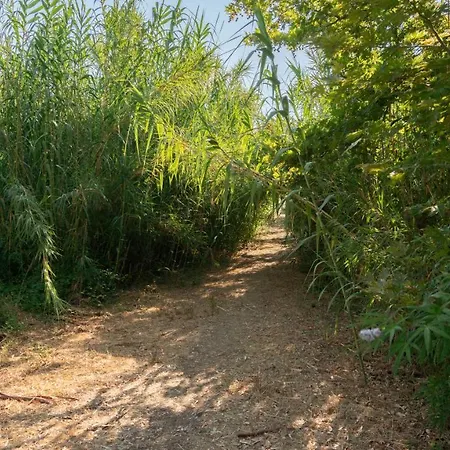 Goldener Semesterbostad *