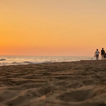 Goldener Ζαχάρω