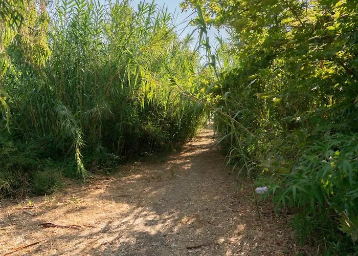 Goldener Semesterbostad *