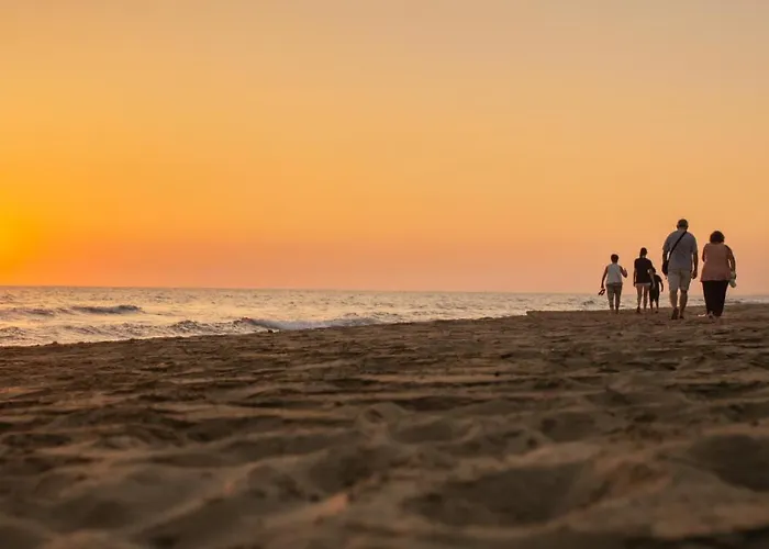 Goldener Захаро